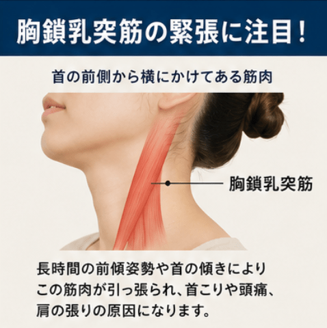 盛岡肩こり・スマホ首・長距離運転による首肩の痛みと改善方法を解説する日本語健康インフォグラフィック